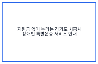 지원금 없이 누리는 경기도 시흥시 장애인 특별운송 서비스 안내