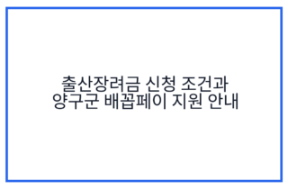 출산장려금 신청 조건과 양구군 배꼽페이 지원 안내