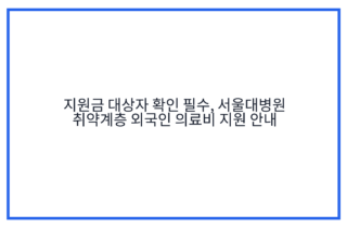 지원금 대상자 확인 필수, 서울대병원 취약계층 외국인 의료비 지원 안내