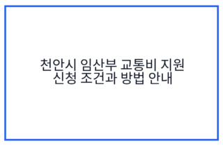 천안시 임산부 교통비 지원 신청 조건과 방법 안내
