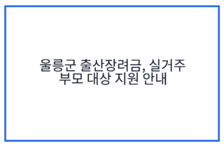 울릉군 출산장려금, 실거주 부모 대상 지원 안내