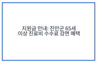 지원금 안내: 진안군 65세 이상 진료비 수수료 감면 혜택