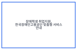 장애학생 취업지원, 한국장애인고용공단 맞춤형 서비스 안내