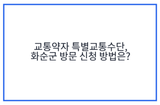 교통약자 특별교통수단, 화순군 방문 신청 방법은?