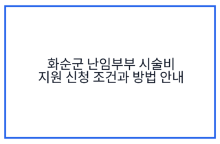 화순군 난임부부 시술비 지원 신청 조건과 방법 안내