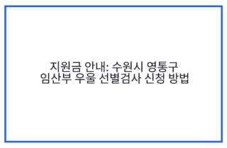 지원금 안내: 수원시 영통구 임산부 우울 선별검사 신청 방법