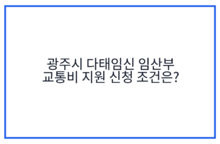 광주시 다태임신 임산부 교통비 지원 신청 조건은?