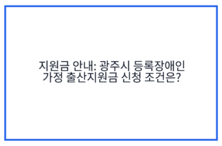 지원금 안내: 광주시 등록장애인 가정 출산지원금 신청 조건은?