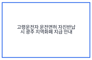 고령운전자 운전면허 자진반납 시 광주 지역화폐 지급 안내