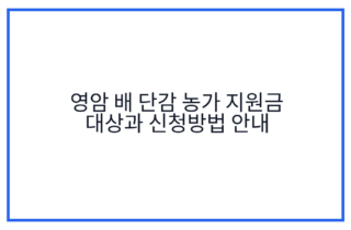 영암 배 단감 농가 지원금 대상과 신청방법 안내