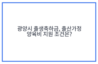 광양시 출생축하금, 출산가정 양육비 지원 조건은?