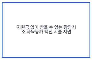 지원금 없이 받을 수 있는 광양시 소 사육농가 백신 시술 지원