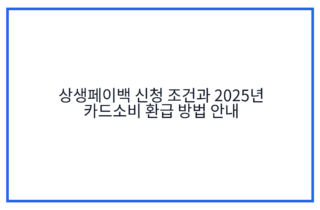 상생페이백 신청 조건과 2025년 카드소비 환급 방법 안내