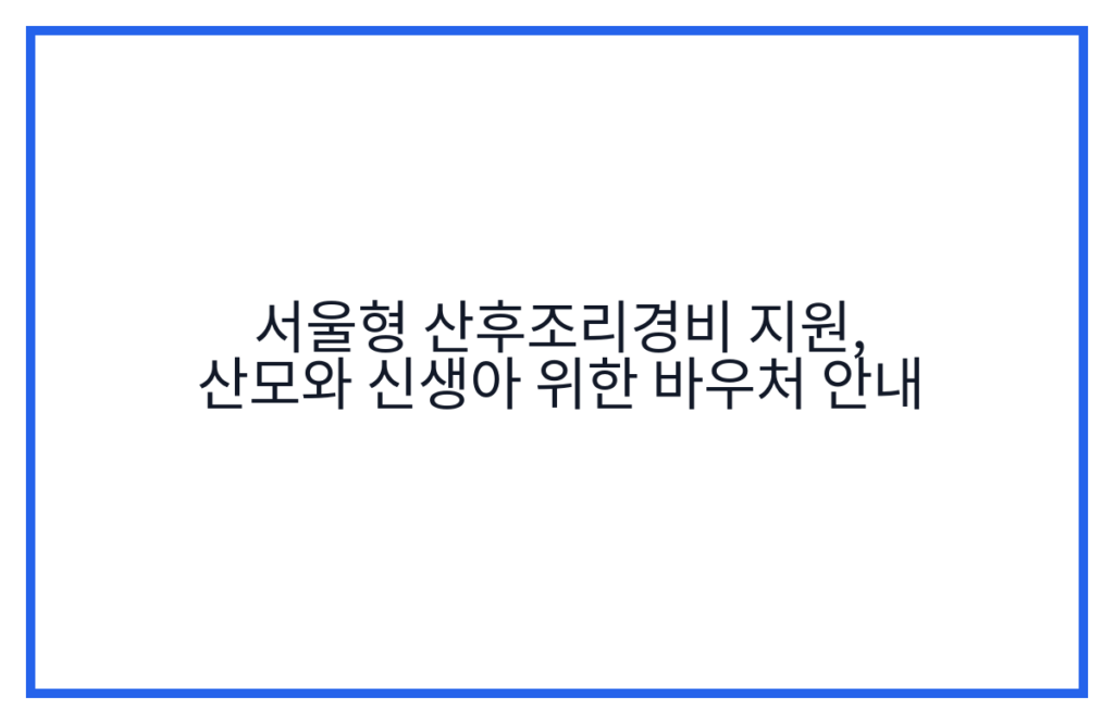 서울형 산후조리경비 지원, 산모와 신생아 위한 바우처 안내