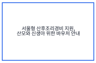 서울형 산후조리경비 지원, 산모와 신생아 위한 바우처 안내
