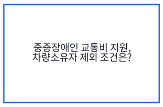 중증장애인 교통비 지원, 차량소유자 제외 조건은?