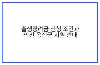 출생장려금 신청 조건과 인천 옹진군 지원 안내