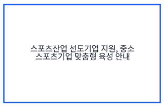 스포츠산업 선도기업 지원, 중소 스포츠기업 맞춤형 육성 안내