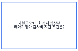 지원금 안내: 화성시 임산부 태아기형아 검사비 지원 조건은?