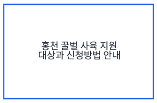 홍천 꿀벌 사육 지원 대상과 신청방법 안내