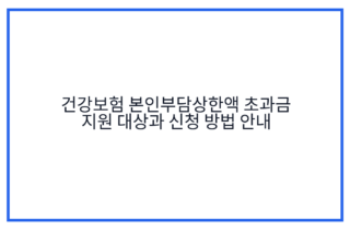 건강보험 본인부담상한액 초과금 지원 대상과 신청 방법 안내