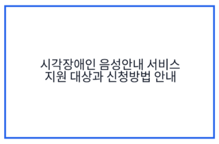 시각장애인 음성안내 서비스 지원 대상과 신청방법 안내