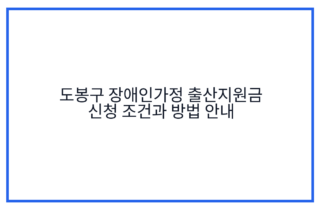 도봉구 장애인가정 출산지원금 신청 조건과 방법 안내