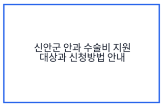 신안군 안과 수술비 지원 대상과 신청방법 안내