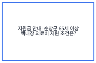 지원금 안내: 순창군 65세 이상 백내장 의료비 지원 조건은?