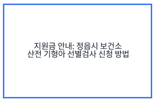 지원금 안내: 정읍시 보건소 산전 기형아 선별검사 신청 방법