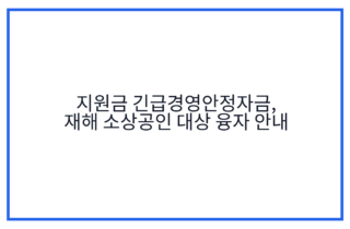 지원금 긴급경영안정자금, 재해 소상공인 대상 융자 안내