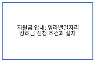 지원금 안내: 워라밸일자리 장려금 신청 조건과 절차