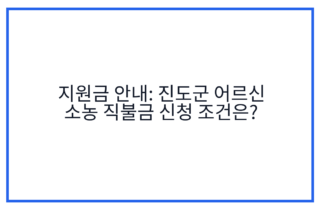 지원금 안내: 진도군 어르신 소농 직불금 신청 조건은?