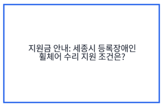 지원금 안내: 세종시 등록장애인 휠체어 수리 지원 조건은?