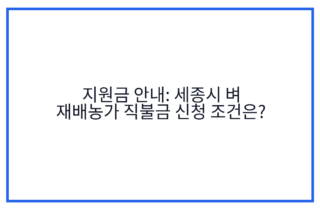 지원금 안내: 세종시 벼 재배농가 직불금 신청 조건은?