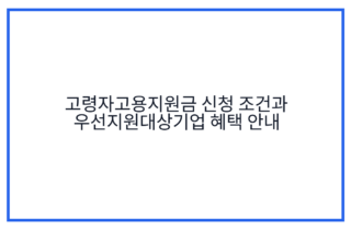 고령자고용지원금 신청 조건과 우선지원대상기업 혜택 안내