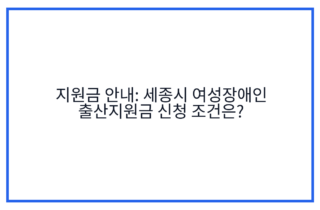 지원금 안내: 세종시 여성장애인 출산지원금 신청 조건은?