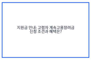 지원금 안내: 고령자 계속고용장려금 신청 조건과 혜택은?