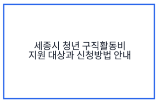 세종시 청년 구직활동비 지원 대상과 신청방법 안내