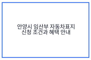 안양시 임산부 자동차표지 신청 조건과 혜택 안내