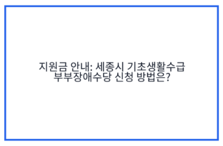 지원금 안내: 세종시 기초생활수급 부부장애수당 신청 방법은?
