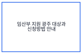 임산부 지원 광주 대상과 신청방법 안내