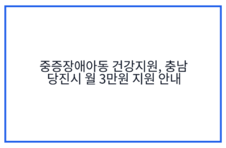 중증장애아동 건강지원, 충남 당진시 월 3만원 지원 안내