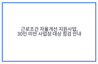근로조건 자율개선 지원사업, 30인 미만 사업장 대상 점검 안내