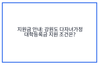 지원금 안내: 강원도 다자녀가정 대학등록금 지원 조건은?