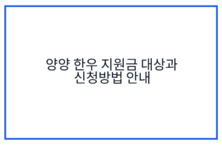 양양 한우 지원금 대상과 신청방법 안내