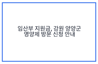 임산부 지원금, 강원 양양군 영양제 방문 신청 안내