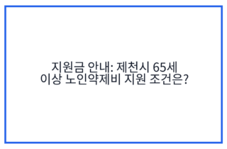 지원금 안내: 제천시 65세 이상 노인약제비 지원 조건은?