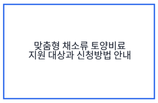 맞춤형 채소류 토양비료 지원 대상과 신청방법 안내