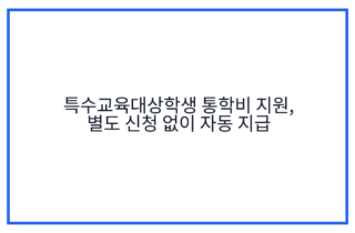 특수교육대상학생 통학비 지원, 별도 신청 없이 자동 지급